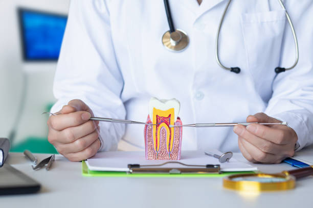 Best Orthodontic Emergency Dentist in Greenfield, IN